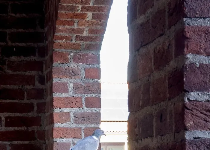 Alojamento de Acomodação e Pequeno-almoço Vino Grando 't Klooster 3*